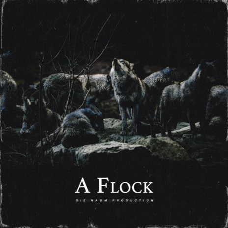 A Flock | Boomplay Music