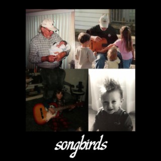 songbirds lyrics | Boomplay Music