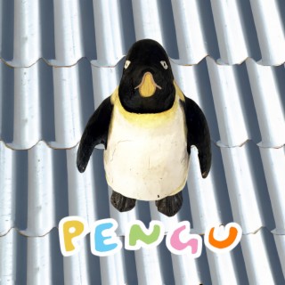 Pengu lyrics | Boomplay Music