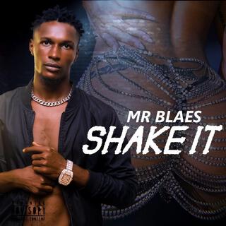 SHAKE IT lyrics | Boomplay Music