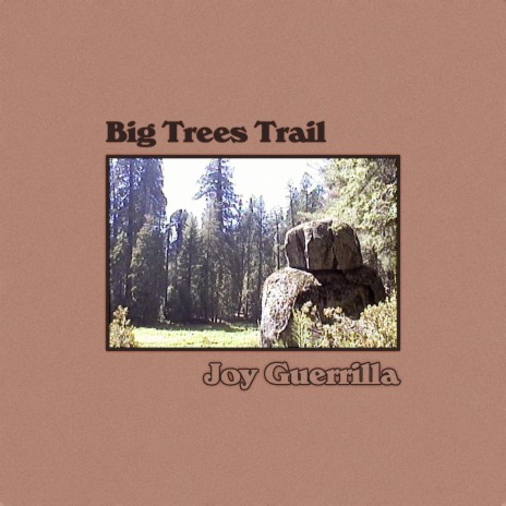 Big Trees Trail (Noon) | Boomplay Music