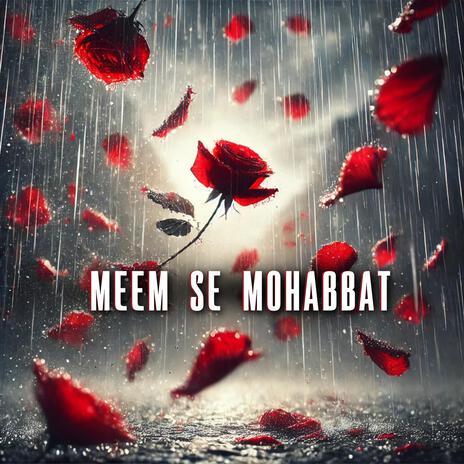 Meem Se Mohabbat (Female Version) | Boomplay Music