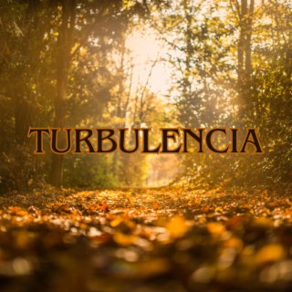 Turbulencia