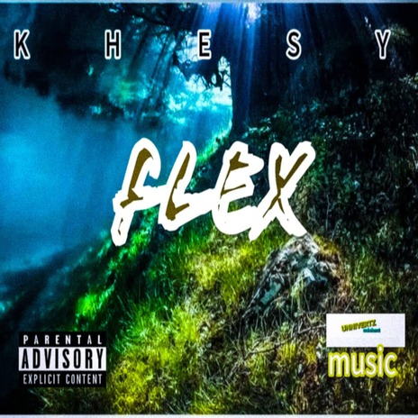 Flex | Boomplay Music