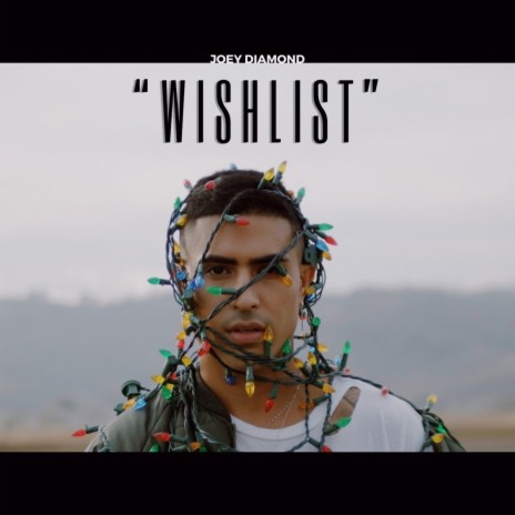 Wishlist | Boomplay Music