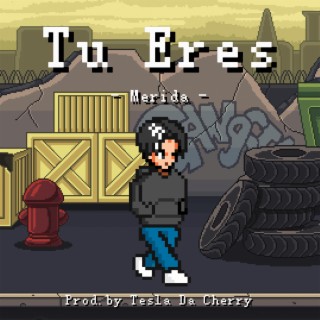 Tú Eres ft. Tesla Da Cherry lyrics | Boomplay Music