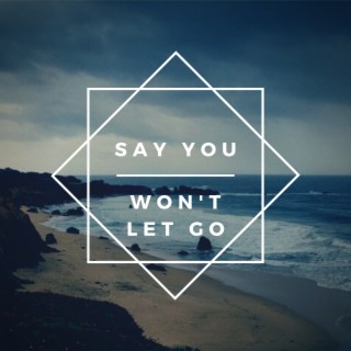 Say You Won’t' Let Go