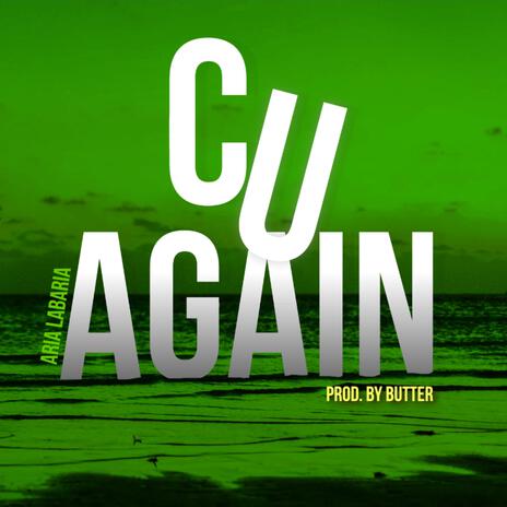 C U Again ft. Aria Labaria | Boomplay Music