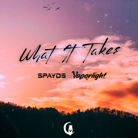 What It Takes ft. Vaporlight | Boomplay Music