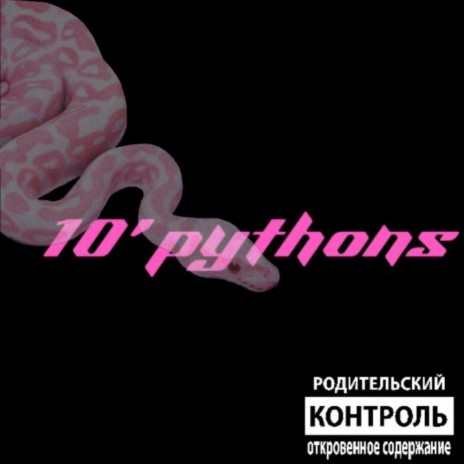 10 pythons | Boomplay Music