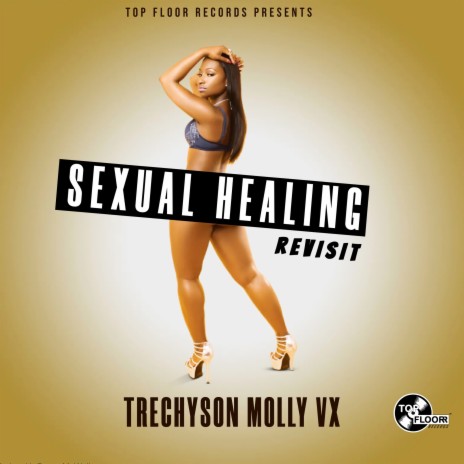 Sexual Healing (Revisit) | Boomplay Music