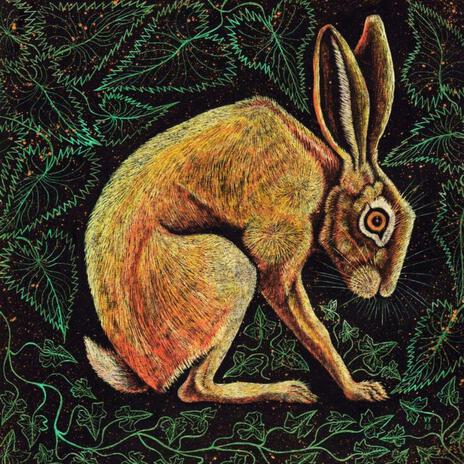 The Tortoise and The Hare | Boomplay Music