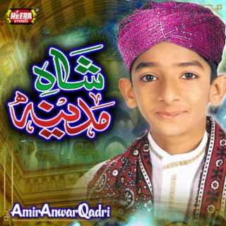 Amir Anwar Qadri