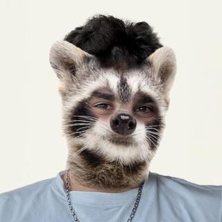 Mateen The Raccoon