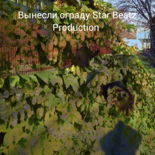 Вынесли ограду Star Beatz Production