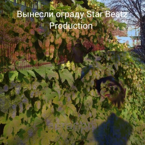 Вынесли ограду Star Beatz Production | Boomplay Music