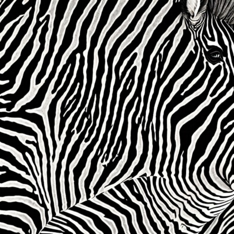 ZEBRA7 | Boomplay Music