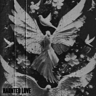 HAUNTED LOVE lyrics | Boomplay Music