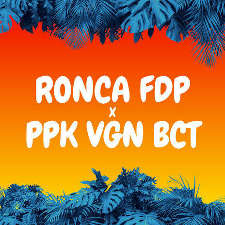 RONCA FDP X PPK VGN BCT ft. MC Pbo & mc vn cria | Boomplay Music