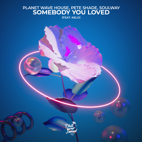 Somebody That You Loved ft. Pete Shade, SOULWAY & Kelo | Boomplay Music