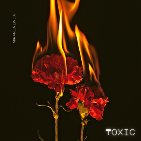 Toxic | Boomplay Music