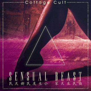 SENSUAL BEAST: Cybersex