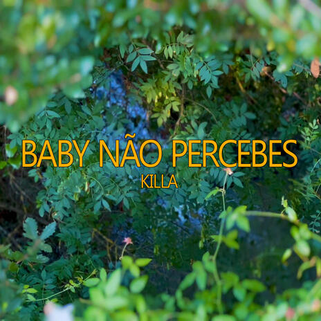 Baby Não Percebes