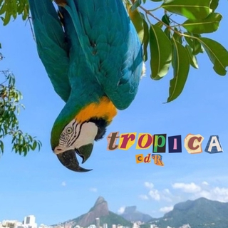 Tropica