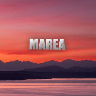 Marea