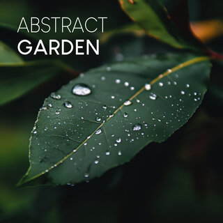 Abstract Garden