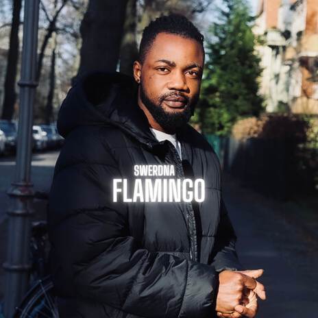 Flamingo | Boomplay Music