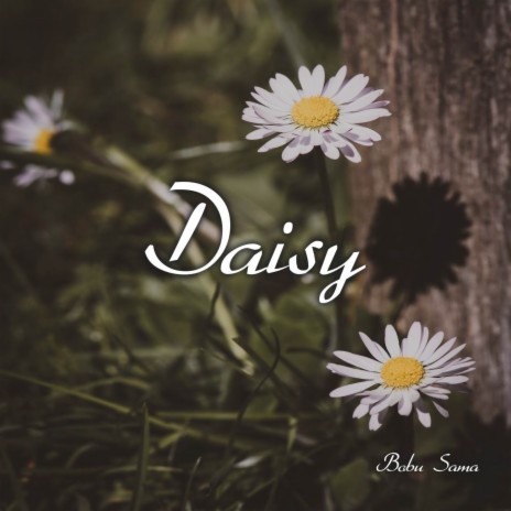 Daisy (From Beyond the Boundary) | Boomplay Music