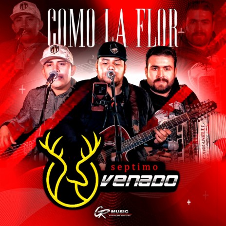 Como la Flor (En Vivo) | Boomplay Music