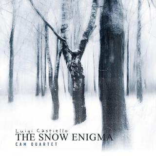 The Snow Enigma