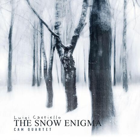 The Snow Enigma ft. CAM Quartet, Stella Manfredi, Antonella De Chiara Violinist, Nico Giordano & Pasquale Termini | Boomplay Music