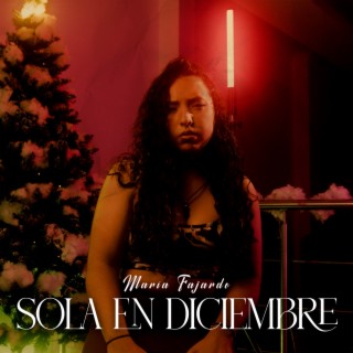 Sola En Diciembre lyrics | Boomplay Music