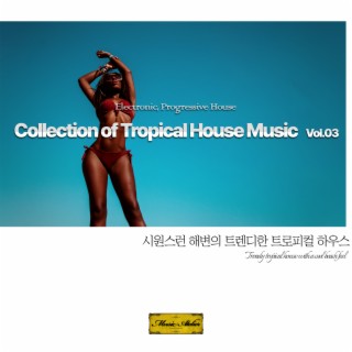 Collection of Tropical House Music Vol.3