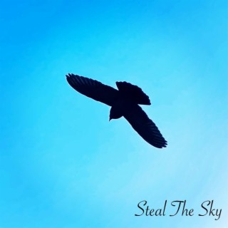 Steal The Sky