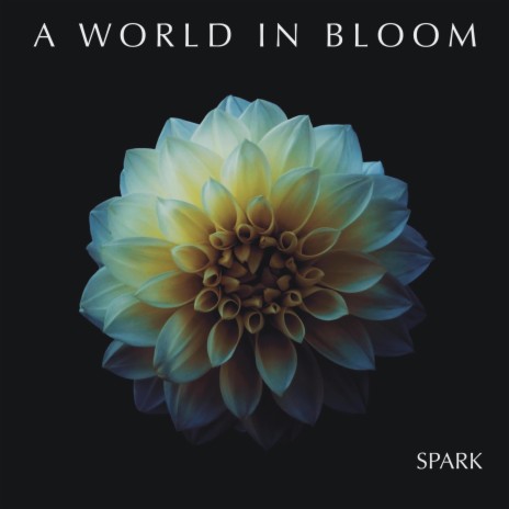 Spark | Boomplay Music