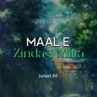 Maal e Zindagi Milta