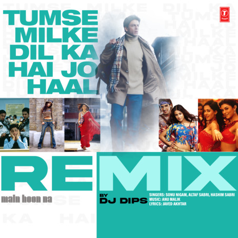 Tumse Milke Dil Ka Hai Jo Haal Remix ft. Aftab Sabri, Hashim Sabri, Anu Malik & Dj Dips | Boomplay Music