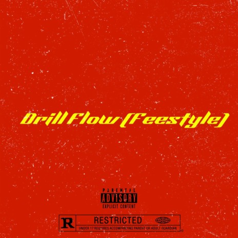 Drill Flow (Freestyle) | Boomplay Music