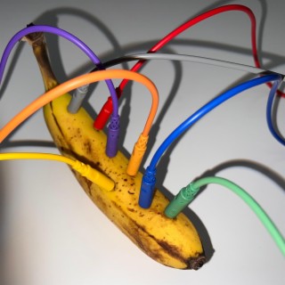 Ideas for the Electronic Banana