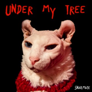 Under My Tree lyrics | Boomplay Music