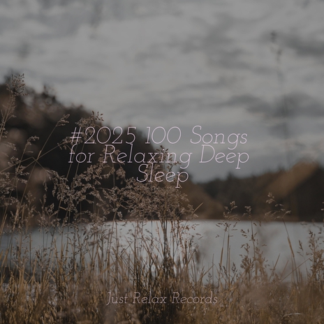 Steaming Tranquility ft. Relaxing Music & Naturaleza Sonidos | Boomplay Music