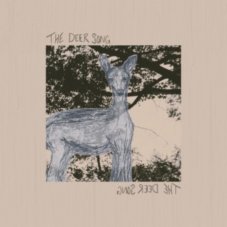 The Deer Song lyrics | Boomplay Music