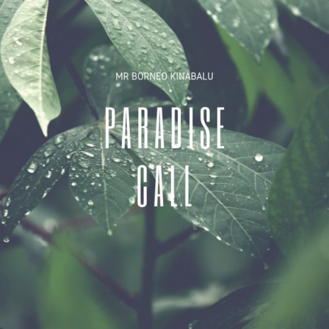 Paradise Call | Boomplay Music