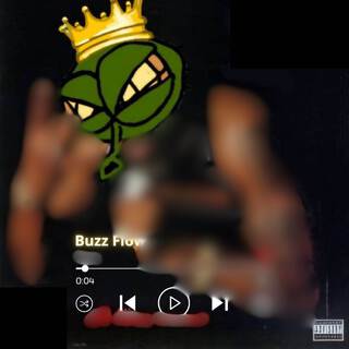 Buzz Flow lyrics | Boomplay Music