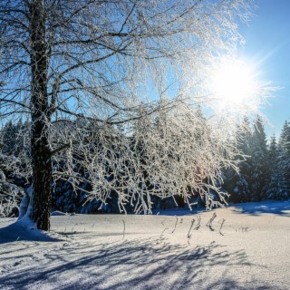Enchanted Winter (Original Motion Picture Soundtrack)