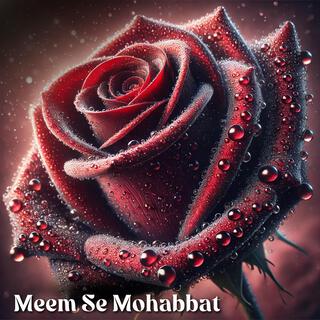 Meem Se Mohabbat (New Version)